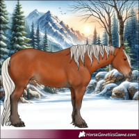 Horse Color:Silver Bay 