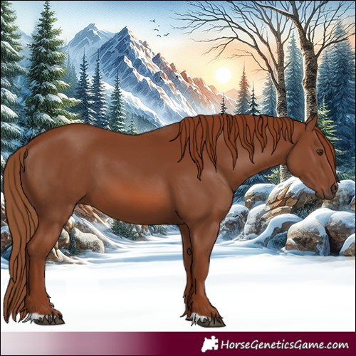 Horse Color:Chestnut 