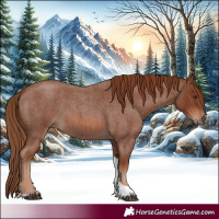 Horse Color:Red Roan Tobiano 