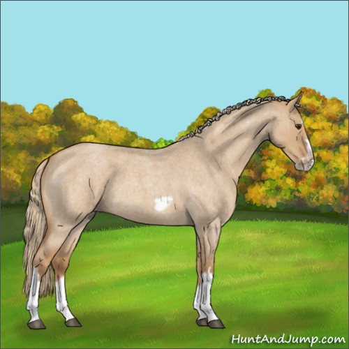 Horse Color:Red Dun Roan Splash Frame Rabicano 