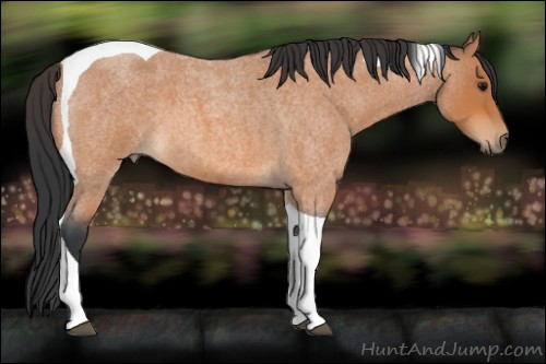 Horse Color:Bay Roan Tobiano 