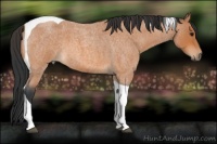 Horse Color:Bay Roan Tobiano