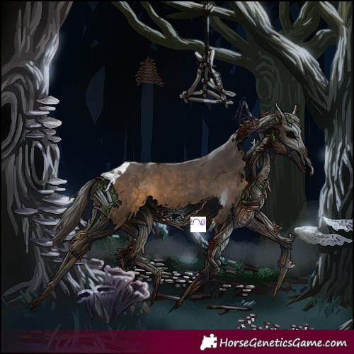 Horse Color:Buckskin Tobiano 