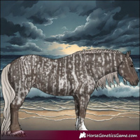 Horse Color:Silver Blue Roan Sabino and Silver Black Tobiano