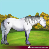 Horse Color:ERROR: UNKNOWN ANOMALY