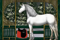 Horse Color:Gray Buckskin Pearl