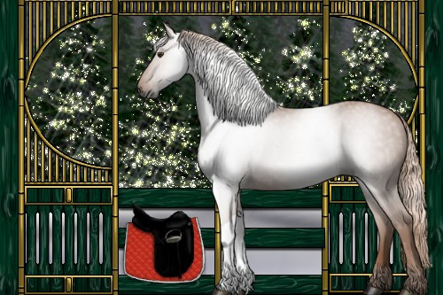Horse Color:Gray Chestnut
