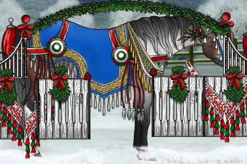 Horse Color:Gray Bay 