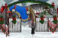 Horse Color:Gray Bay 