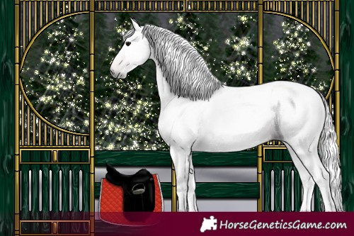 Horse Color:Gray Bay