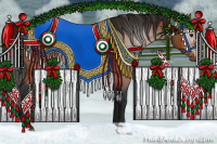 Horse Color:Gray Bay Appaloosa 