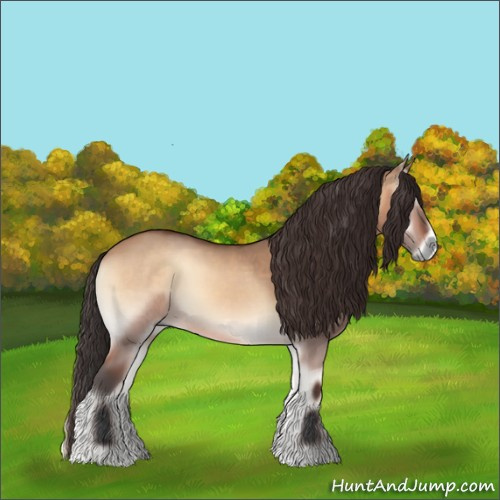 Horse Color:Bay Onyx 
