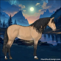 Horse Color:Bay Dun