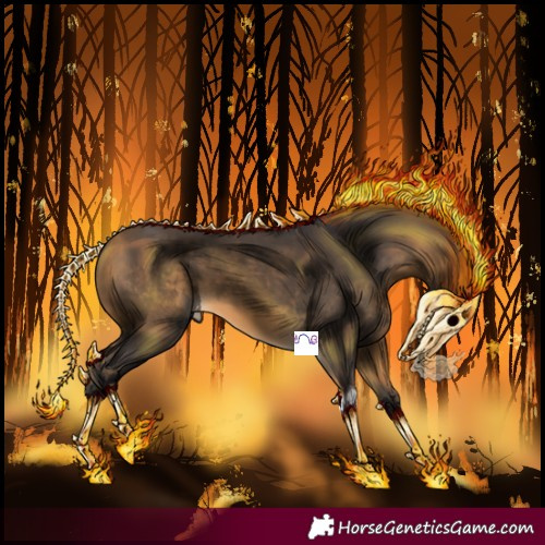 Horse Color:Buckskin Tobiano 