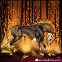 Horse Color:Buckskin Tobiano 