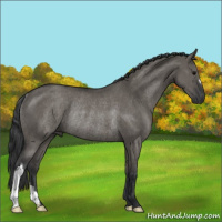 Horse Color:Grullo Rabicano 