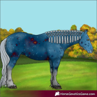 Horse Color:ERROR: UNKNOWN ANOMALY