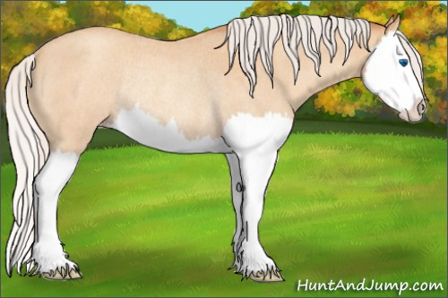 Horse Color:Silver Amber Champagne Roan Splash Rabicano