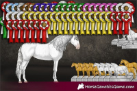 Horse Color:Gray Silver Classic Champagne Appaloosa Rabicano