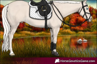 Horse Color:Cremello 