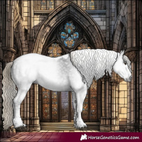 Horse Color:Gray White Spotted Liver Chestnut Tobiano 