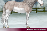 Horse Color:Silver Blue Roan Splash 
