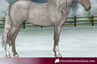 Horse Color:Silver Smoky Blue Roan 
