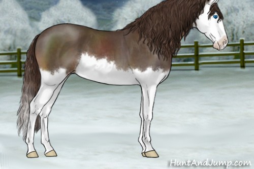 Horse Color:Liver Red Roan Splash 