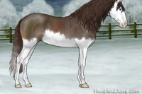 Horse Color:Liver Red Roan Splash 