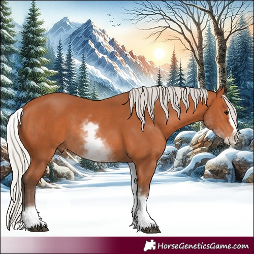 Horse Color:White Spotted Silver Bay Splash 