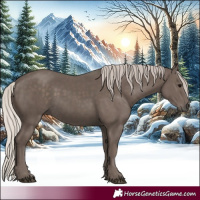 Horse Color:Silver Black 