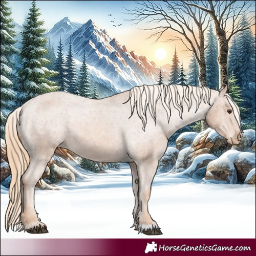 Horse Color:Chestnut Appaloosa 