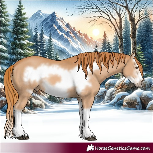 Horse Color:Chestnut Splash Frame