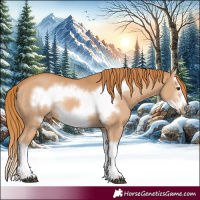 Horse Color:Chestnut Splash Frame