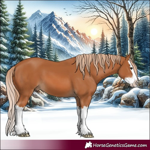 Horse Color:Chestnut Splash