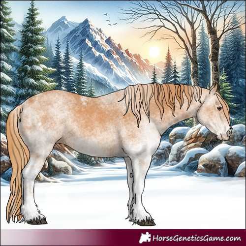 Horse Color:White Spotted Chestnut 