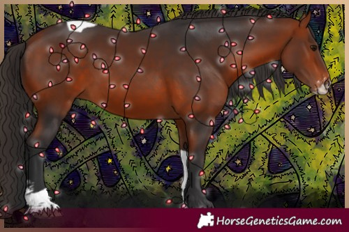 Horse Color:Bay Sabino Tobiano 