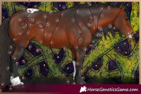 Horse Color:Bay Sabino Tobiano 