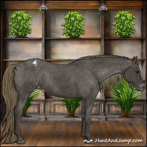 Horse Color:Smoky Black Varnish Rabicano 