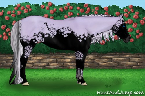 Horse Color:Void Watercolor Silver Classic Champagne Dun Splash