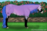 Horse Color:Watercolor Bay Splash 