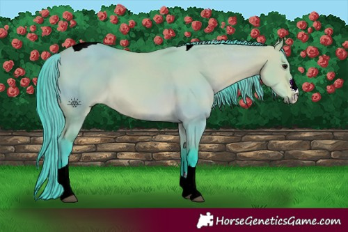 Horse Color:Watercolor Bay Dun Tobiano