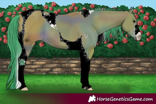 Horse Color:Watercolor Bay Tobiano