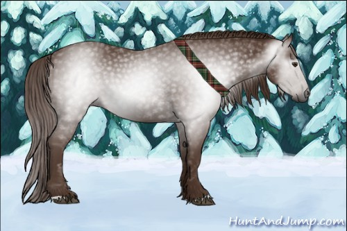 Horse Color:Gray Chestnut 