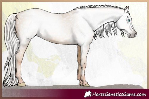 Horse Color:Gray Silver Sable Cream Champagne Pearl