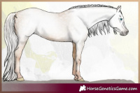 Horse Color:Gray Silver Sable Cream Champagne Pearl 