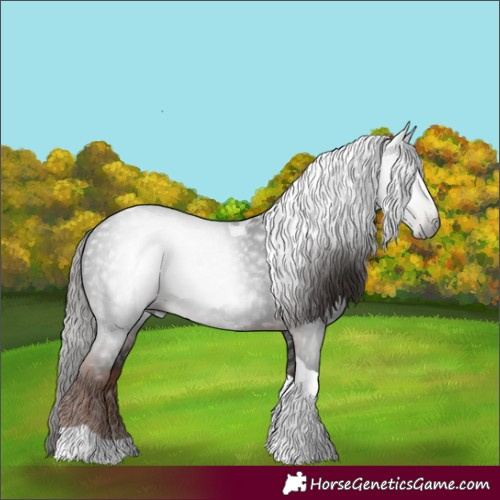 Horse Color:Gray White Spotted Liver Chestnut Tobiano 