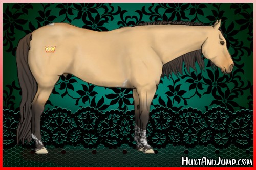 Horse Color:Buckskin Dun Tobiano Rabicano 
