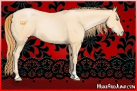 Horse Color:Buckskin Pearl Sabino 