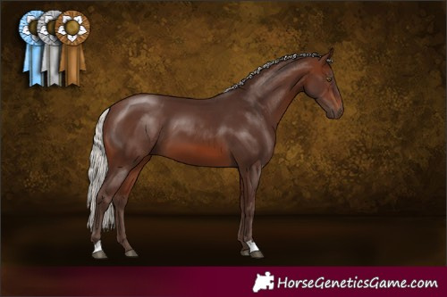 Horse Color:Silver Brown 